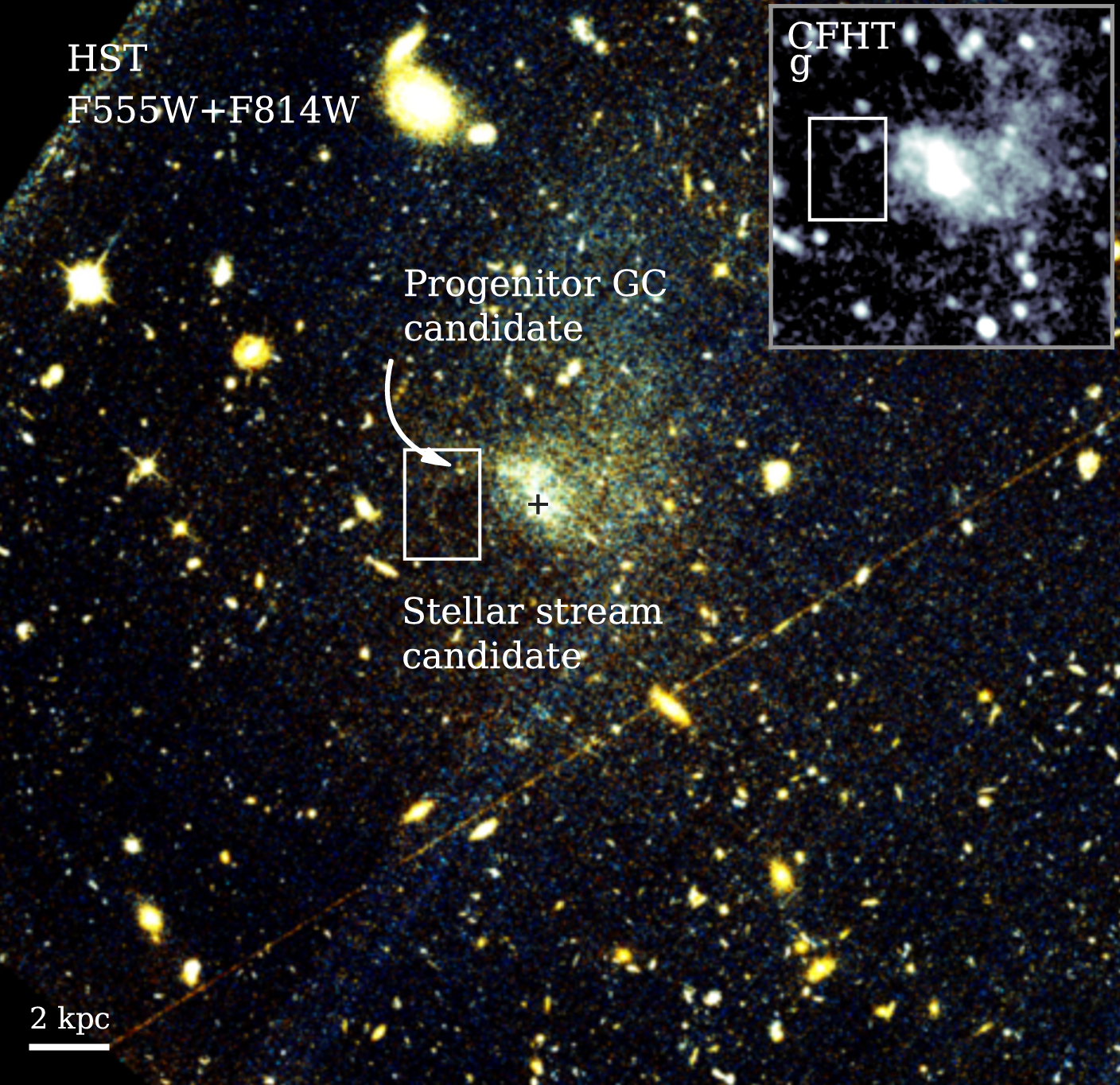 Publication Image